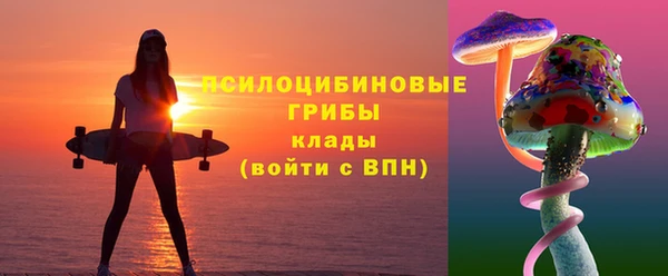 дживик Балахна