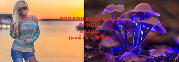 дживик Балахна