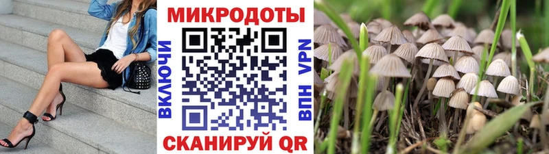 ОМГ ОМГ ссылки  Зима  Псилоцибиновые грибы ЛСД 