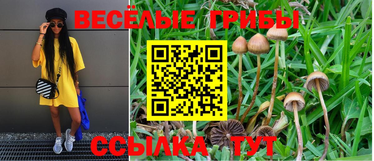 Зима  магазин  наркотиков  Вход с VPN  Галлюциногенные грибы GOLDEN TEACHER 
